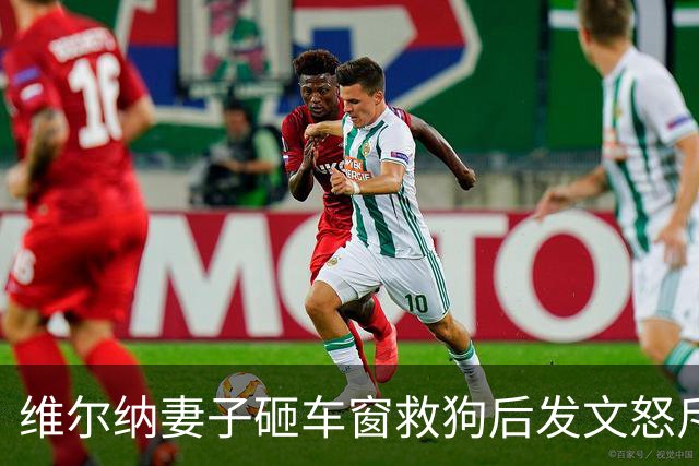 维尔纳妻子砸车窗救狗后发文怒斥主人：30度的天怎能把狗关车上？