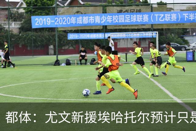 都体：尤文新援埃哈托尔预计只是肌肉不适，问题不大